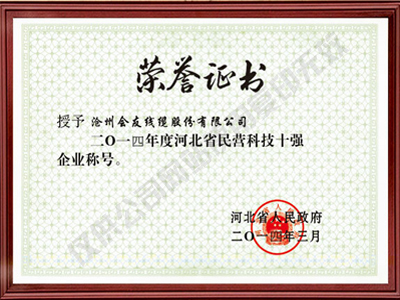 民營(yíng)科技十強(qiáng)榮譽(yù)證書(shū)